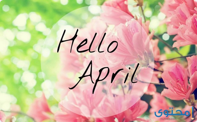 شهر أبريل كام يوم ؟ (April) 1 شهر أبريل كام يوم