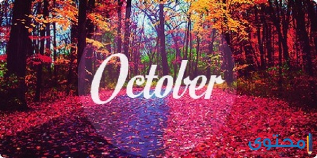 شهر أكتوبر كم يوم (October) ؟ 1 شهر أكتوبر كم يوم