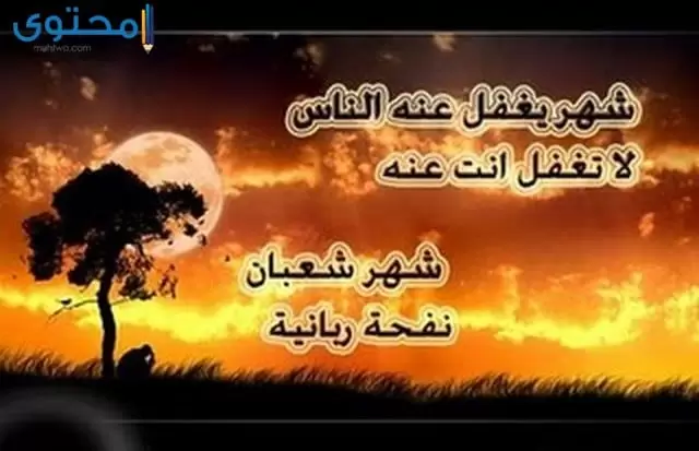 صور شهر شعبان 2023