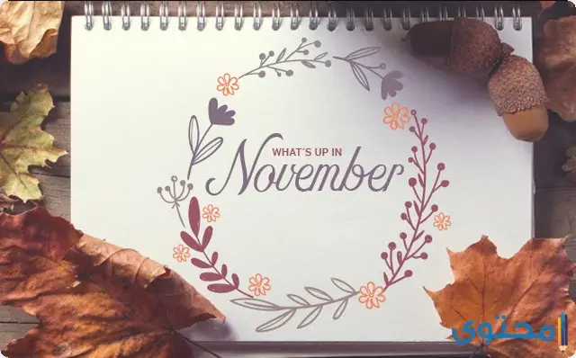 شهر نوفمبر كام يوم (November) ؟