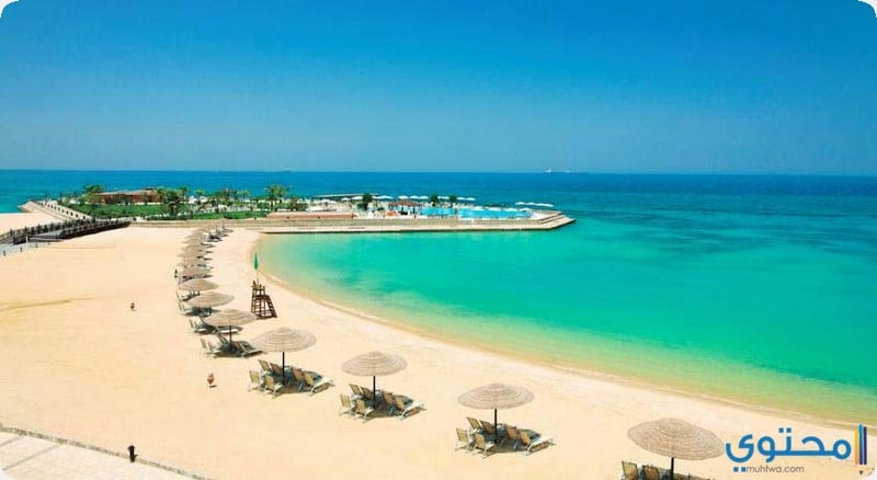 شواطىء1.jpg