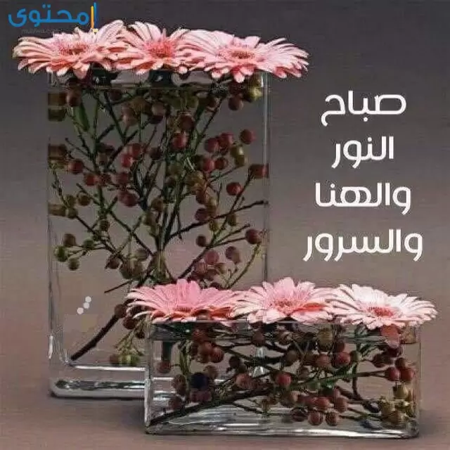 صور صباح النور والسرور