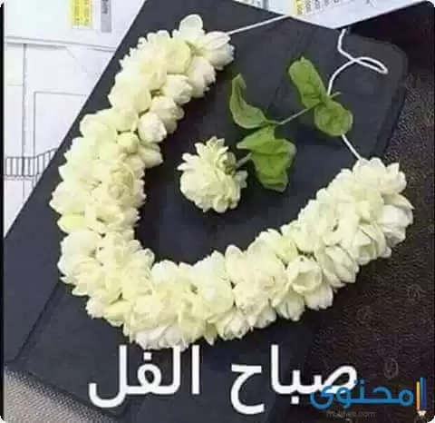 صباح الحب والعهود