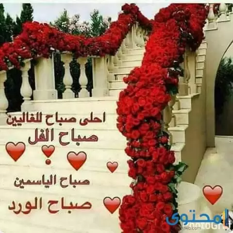 صباح الحب والعهود