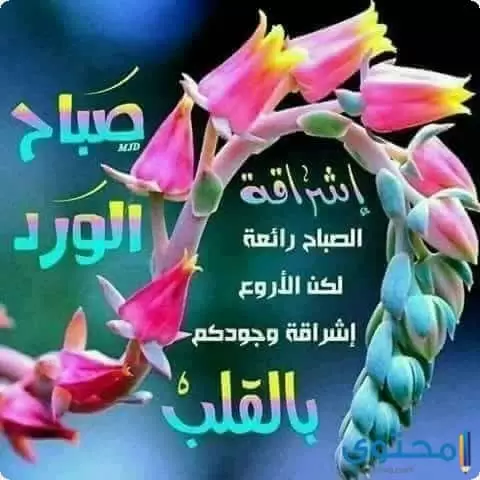 صباح الحب والعهود