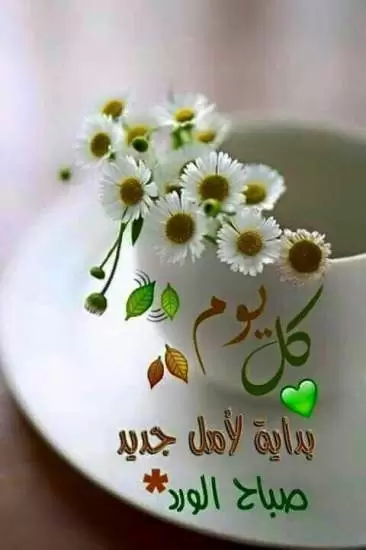 صور صباح الخير