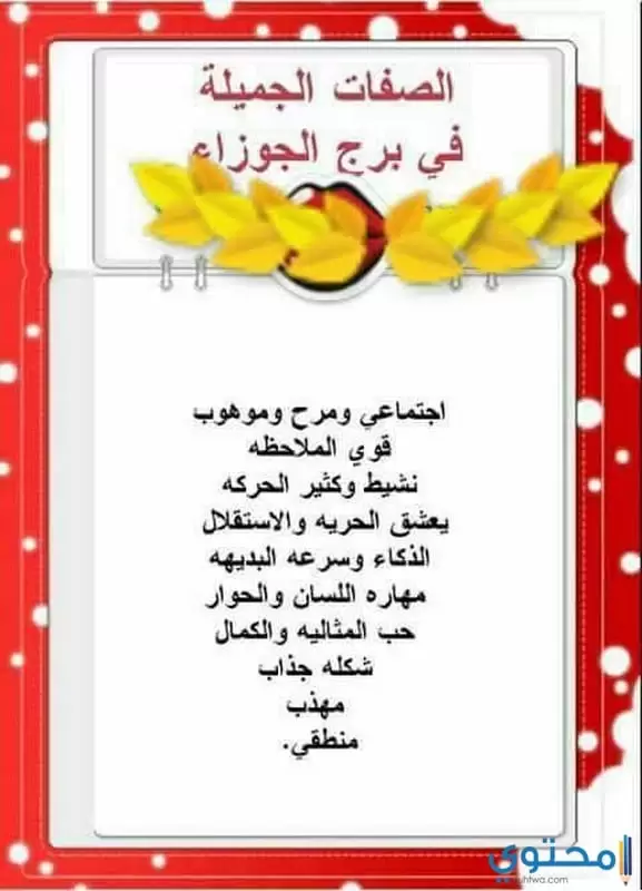 الصفات العامة لبرج الجوزاء