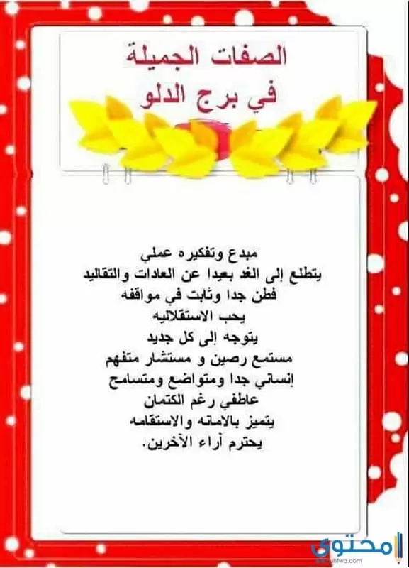 الصفات العامة لبرج الدلو