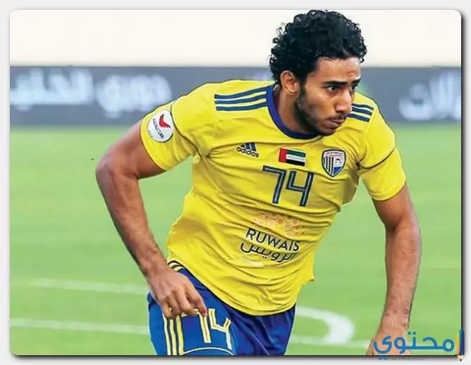 صفقات الوصل الإماراتي