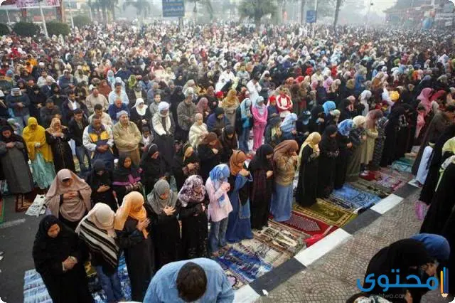 فيديو كيفية أداء صلاة عيد الأضحى بالشرح 2023