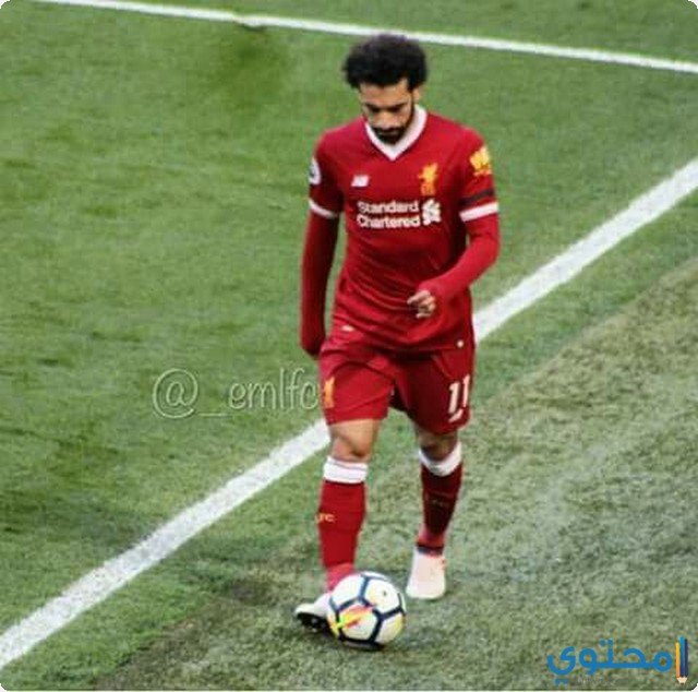 صلاح3-1.jpg