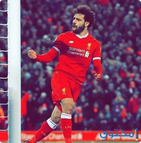 صلاح4.jpg