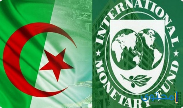 صندوق النقد الدولى يقترح خفض العملة الجزائرية لتشجيع الإستثمار