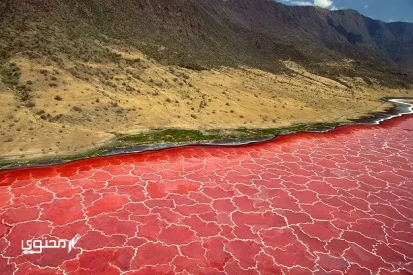 Foto's van de mooiste gekleurde meren ter wereld 2024