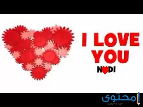 معنى اسم نادي