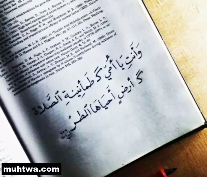 صور الام المثالية