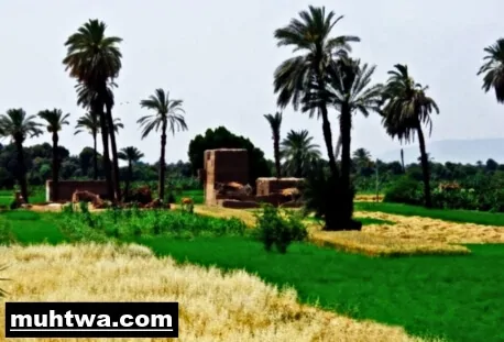 البيئة الصالحة 2