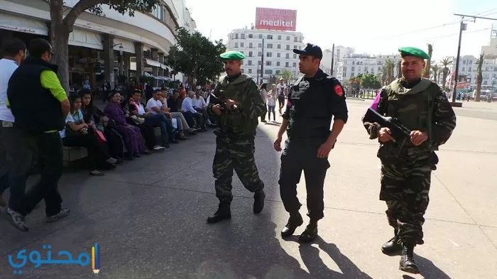 أروع صور جيش المغرب للفيس 