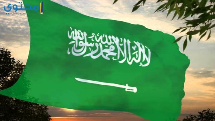 خلفيات علم السعودية جديدة 