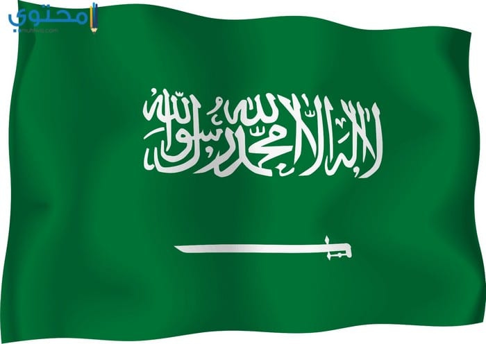 خلفيات علم السعودية حديثة 