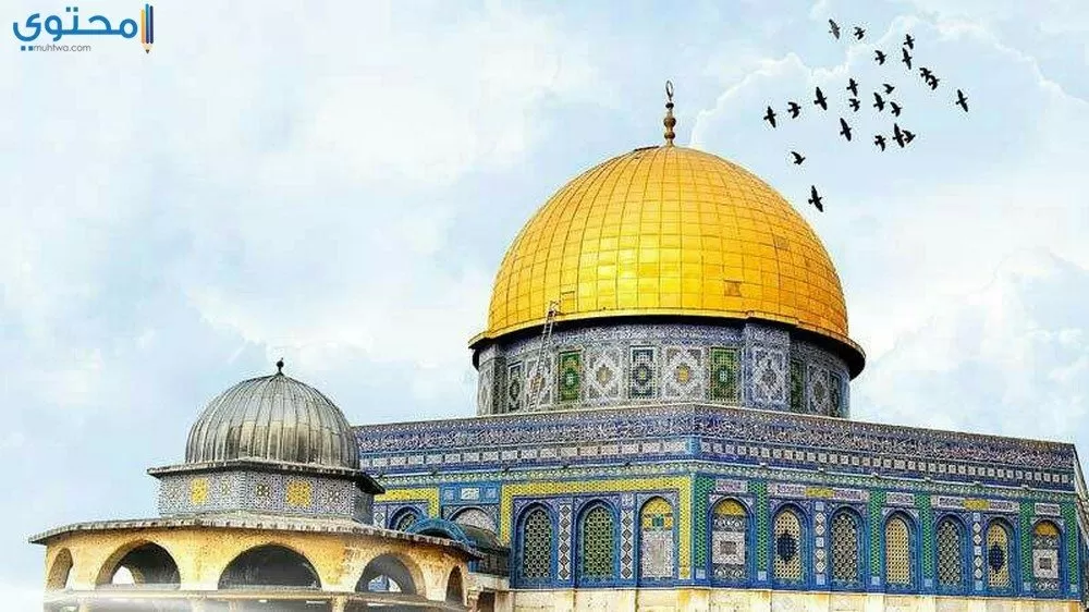 خلفيات القدس عربية 