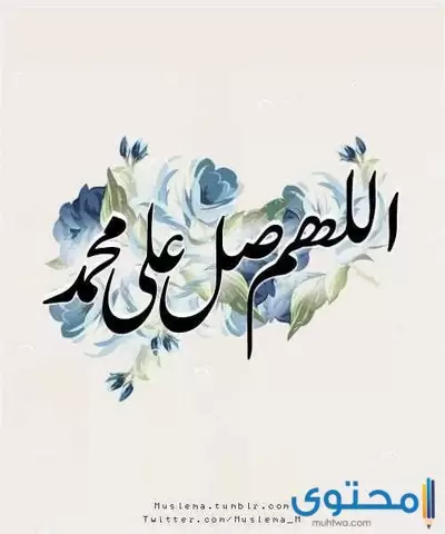 بوستات المولد النبوي