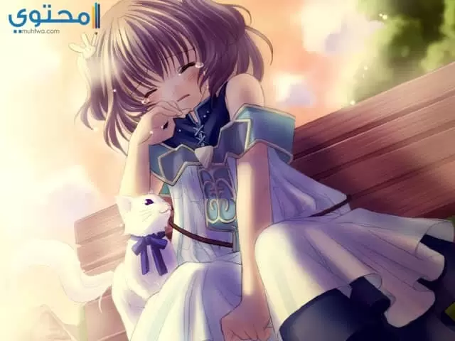 انمي حزين فيس بوك