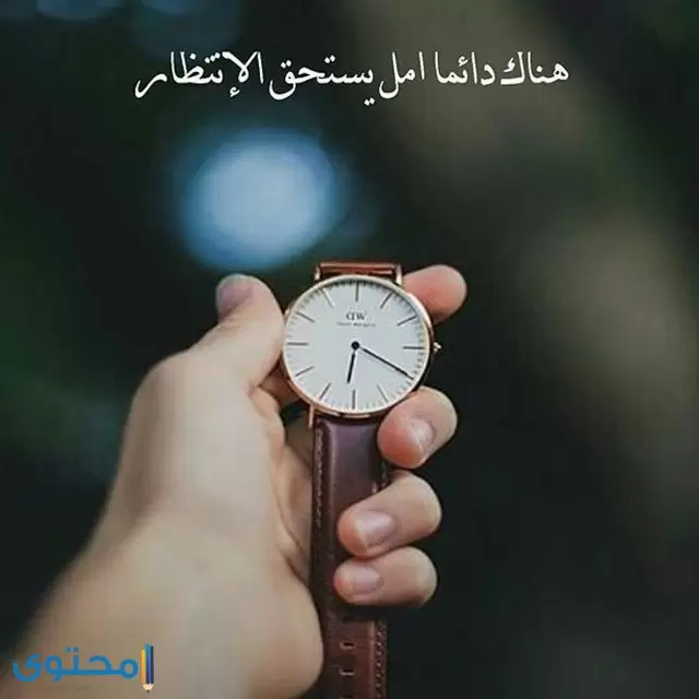 بروفايل واتس حكم