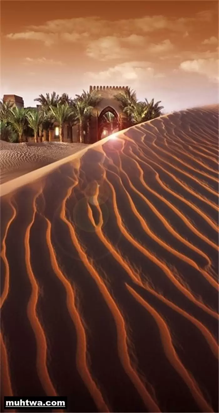 تعبير عن تعمير الصحراء