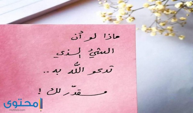 خلفيات تفاؤل وامل Bertul