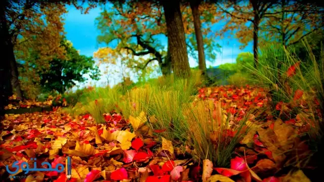 صور جميلة 2023