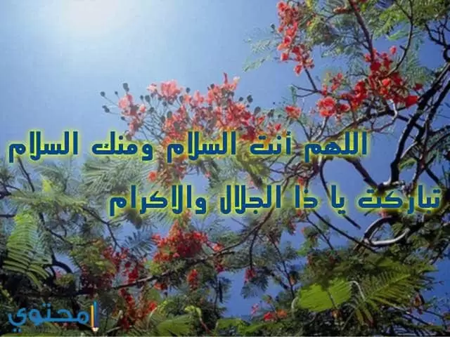أجمل الصور الإسلامية 2023