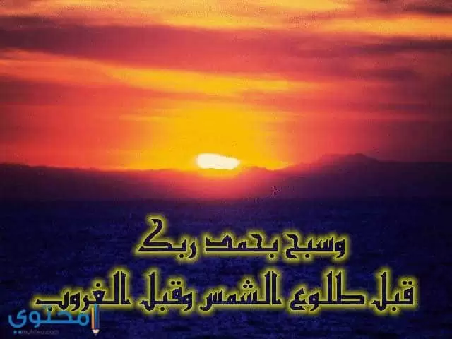 صور جديدة للفيس