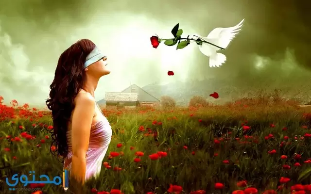 صور حلوة فيس بوك 2023