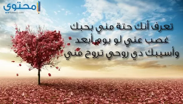 بوستات حب ورومانسية