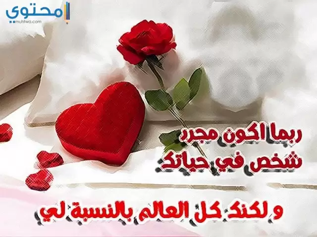 صور حب وعشق21