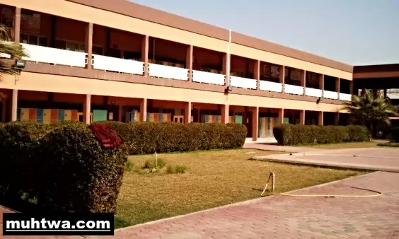 صور حديقة المدرسة