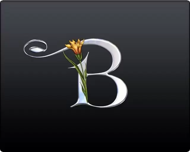 letter b