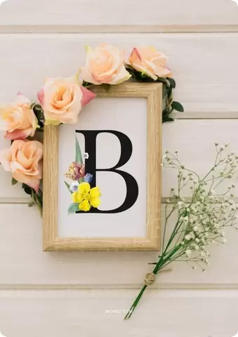 صور حرف B