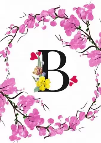 صور حرف B