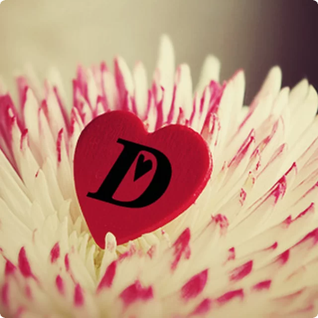 letter d