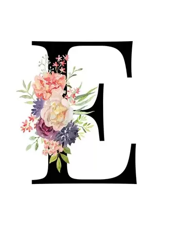 letter e