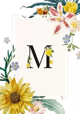 صور حرف M