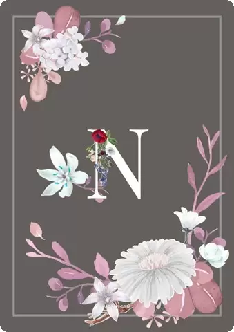 صور حرف N
