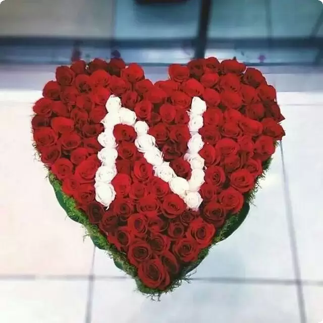 letter n