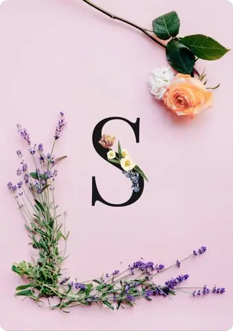 صور حرف S