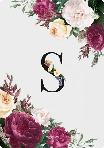 صور حرف S