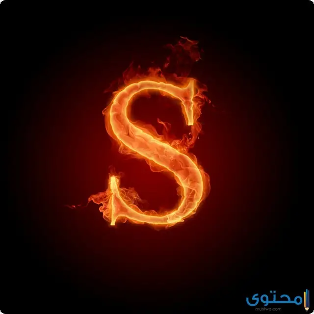 صور حرف S