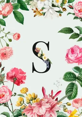 صور حرف S
