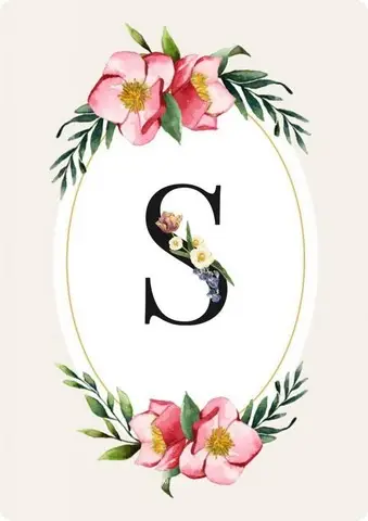 صور حرف S